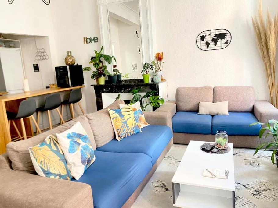 Le Jardin Secret De Nady Apartment Каркасон Екстериор снимка