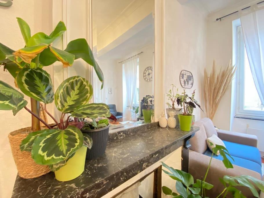 Le Jardin Secret De Nady Apartment Каркасон Екстериор снимка